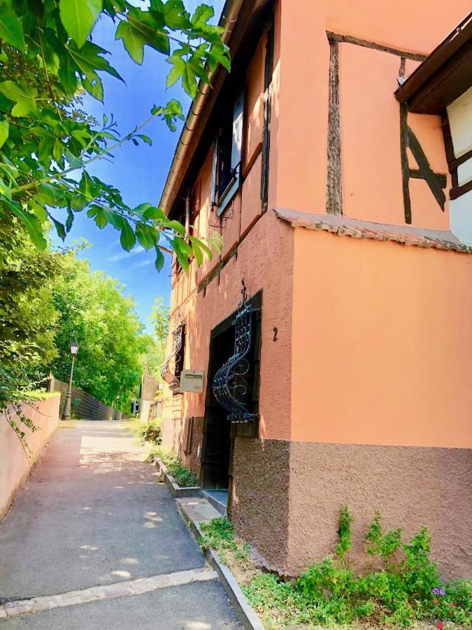 Gite "Rempart Sud" A Ribeauville Exterior foto